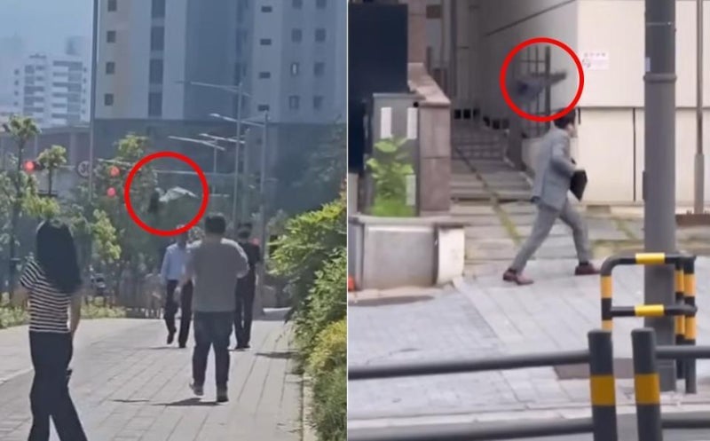 얼굴 기억하고 공격하는 까마귀…"시선 피하라” 정부도 당부 | 인스티즈