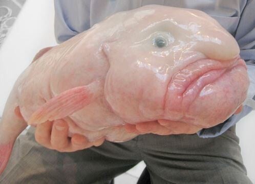 아악!!!바다!!!!심해!!!!!개무서워 아악!!!당신의 심해공포증 파괴를..해드리려했으나 실패입니다(사진약간주의) | 인스티즈
