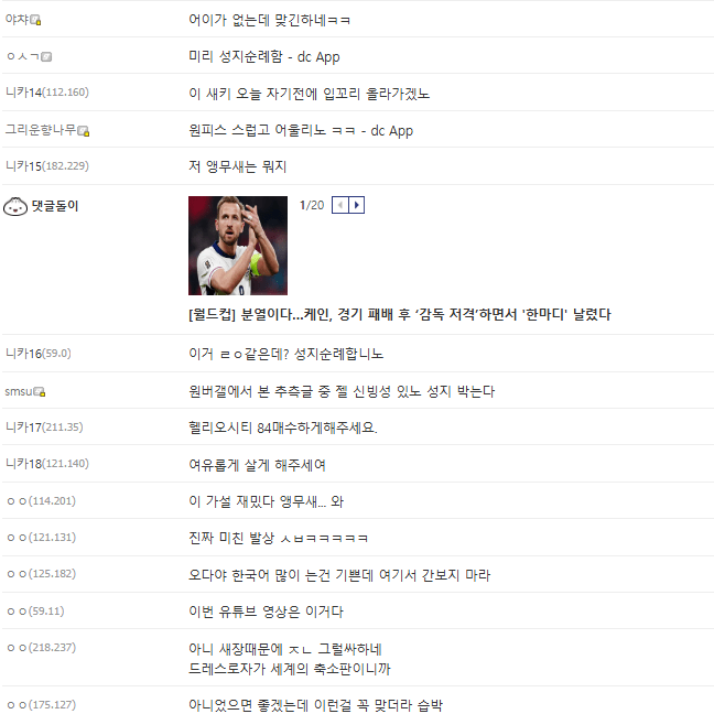 스포?) 점점 스노우볼이 커지고 있는 원피스 앵무새 떡밥 | 인스티즈