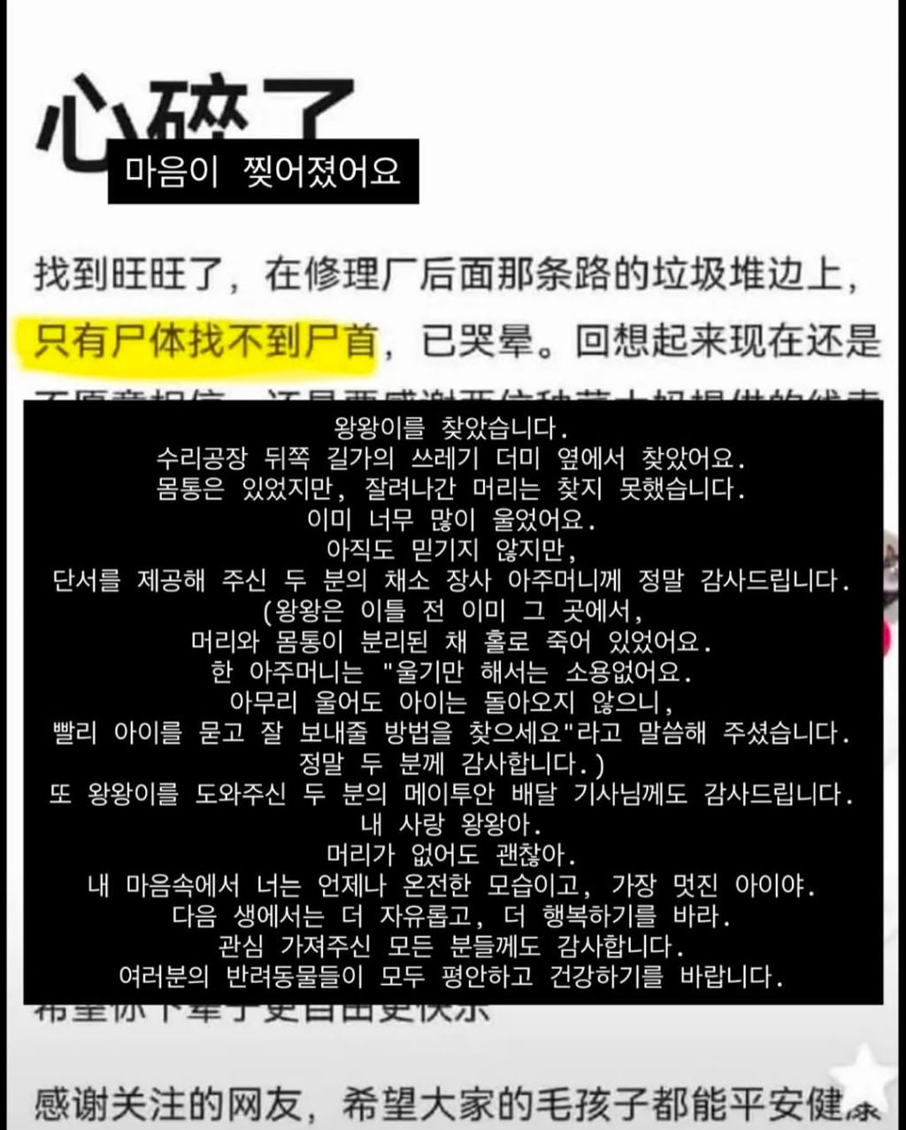 왕왕이 사체 찾은 중국인이 올린글(잔인한 사진x) | 인스티즈