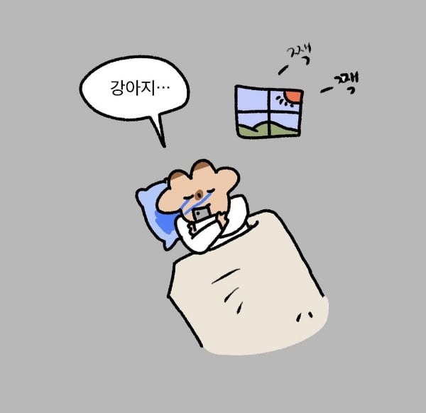 강아지 없는 일주일.jpg | 인스티즈