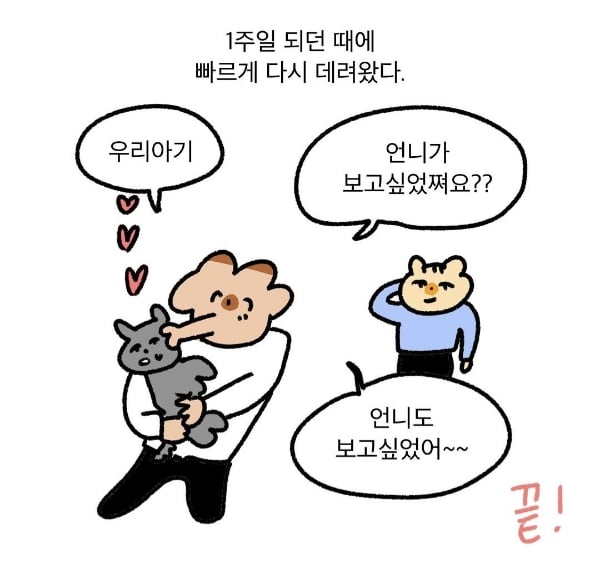 강아지 없는 일주일.jpg | 인스티즈