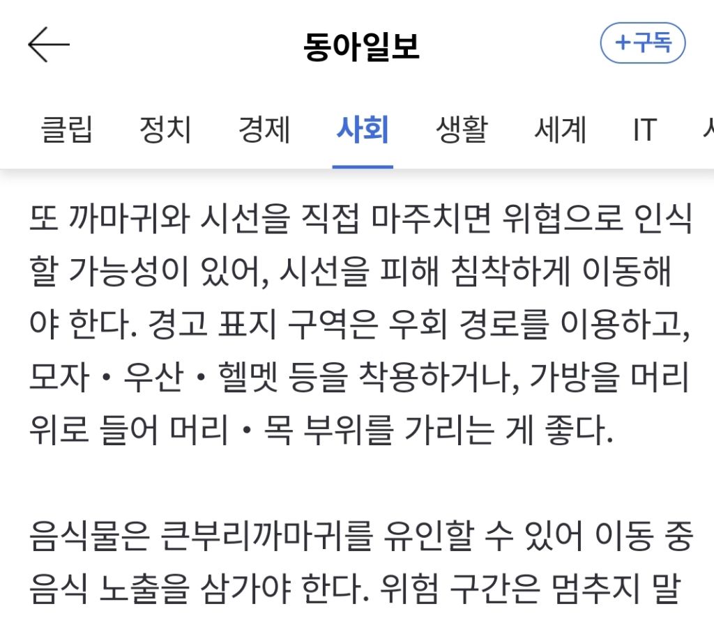 얼굴 기억하고 공격하는 까마귀…"시선 피하라” 정부도 당부 | 인스티즈
