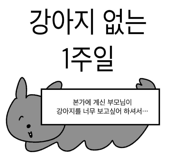 강아지 없는 일주일.jpg | 인스티즈
