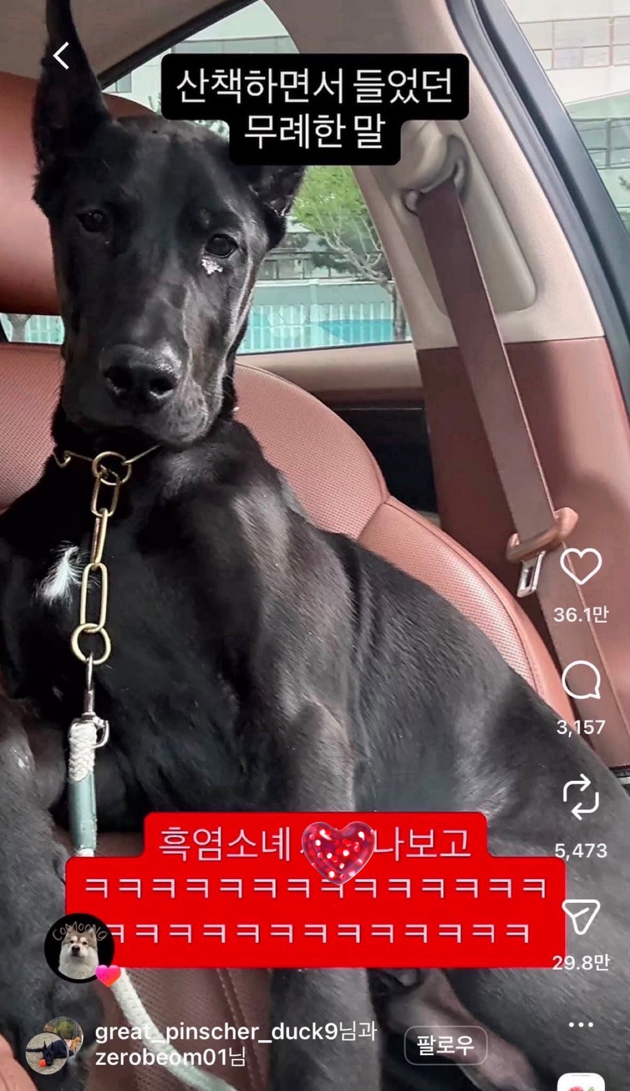 산책하면서 들은 가장 무례한 말.jpg | 인스티즈