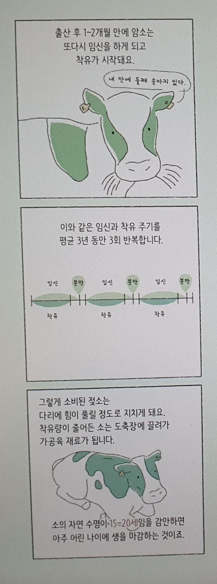 우유가 만들어지는 과정 | 인스티즈