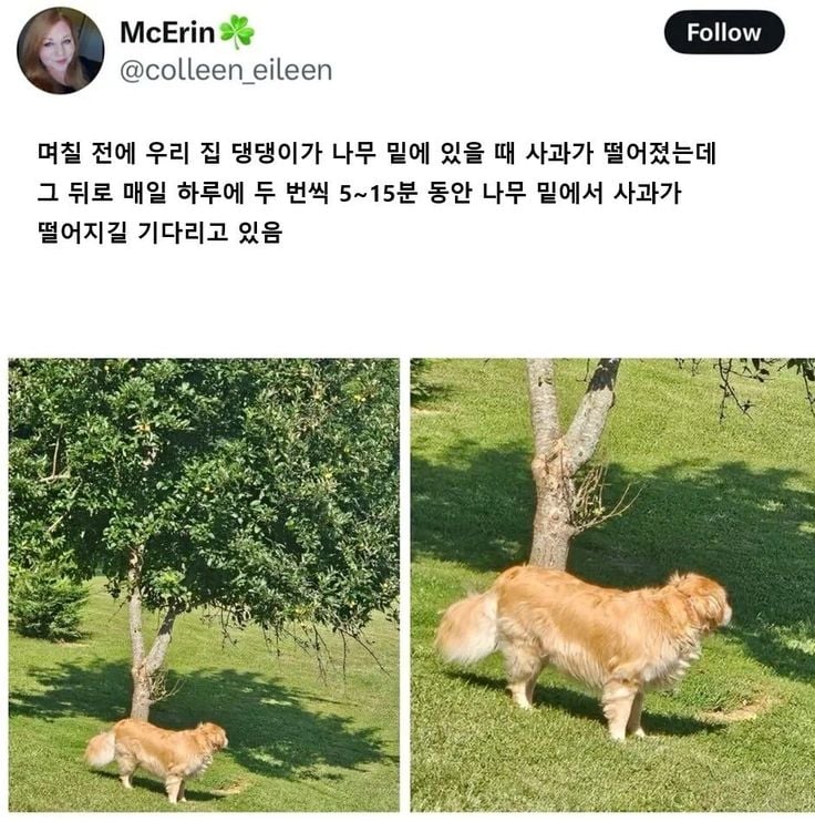 난 인성터진개그가 좋아 | 인스티즈