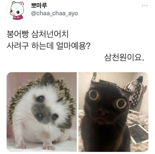 난 인성터진개그가 좋아 | 인스티즈