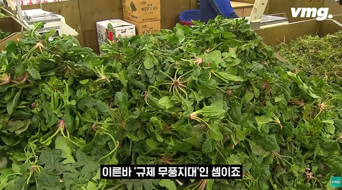 스압주의) 적자매장 비율 57% 심각한 하나로마트 상황 | 인스티즈