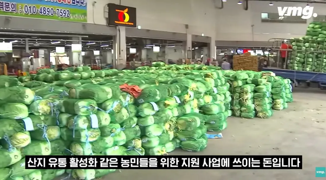스압주의) 적자매장 비율 57% 심각한 하나로마트 상황 | 인스티즈