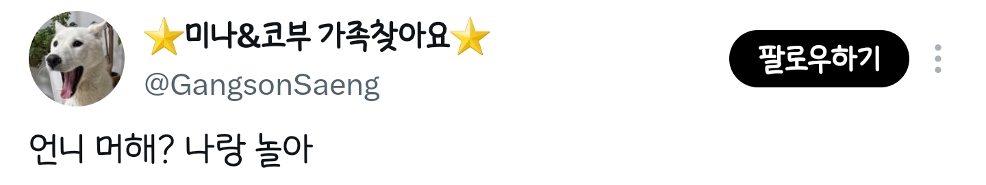 🐶 언니 머해? 나랑 놀아 | 인스티즈