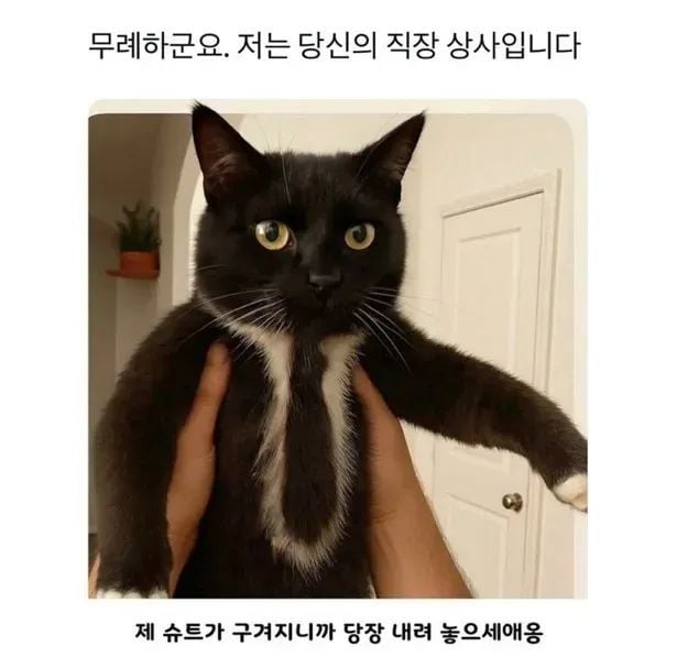 난 인성터진개그가 좋아 | 인스티즈