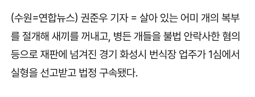 살아 있는 어미 개 배 가른 화성 번식장 업주 1심 징역 1년6개월 | 인스티즈