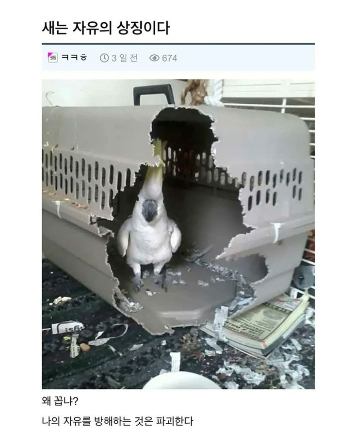 난 인성터진개그가 좋아 | 인스티즈