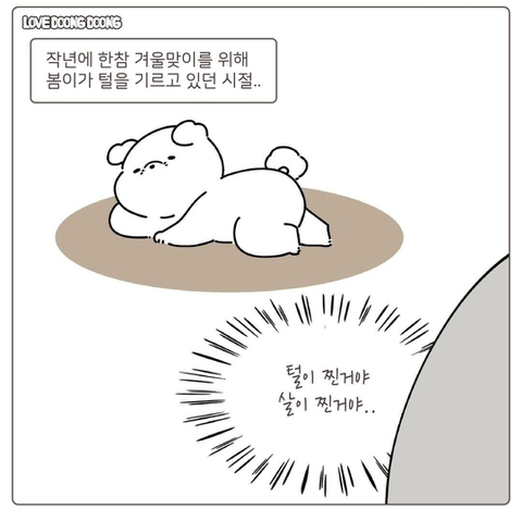강아지 얼굴 범위 논란.jpg | 인스티즈