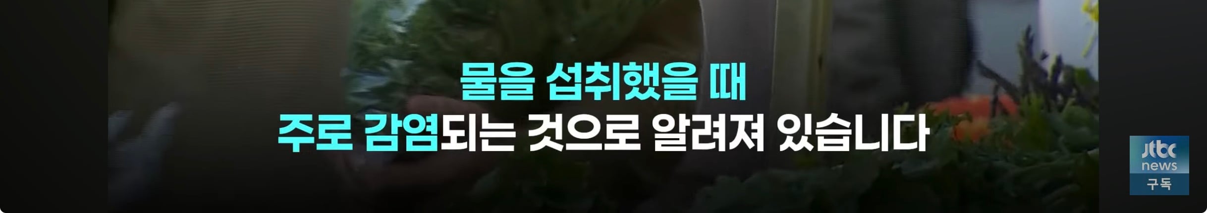 세척해도 안 죽는다, 미국 덮친 기생충 감염 급증 | 인스티즈