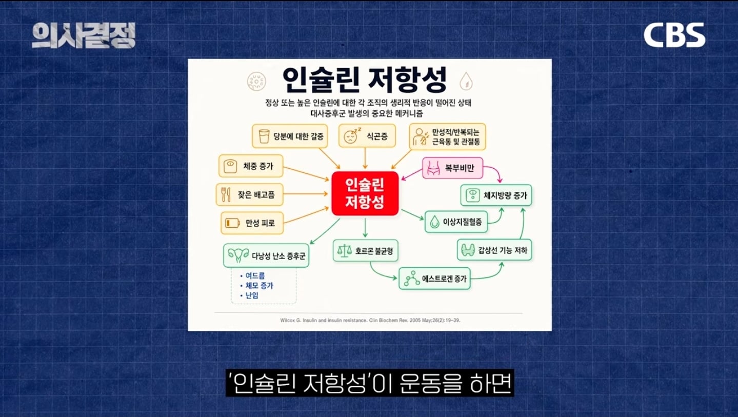 "다이어트 유지 10년이면 체질 변하는 거 아닌가요?" 의사가 분석한 김신영 요요의 반전 실체 | 인스티즈