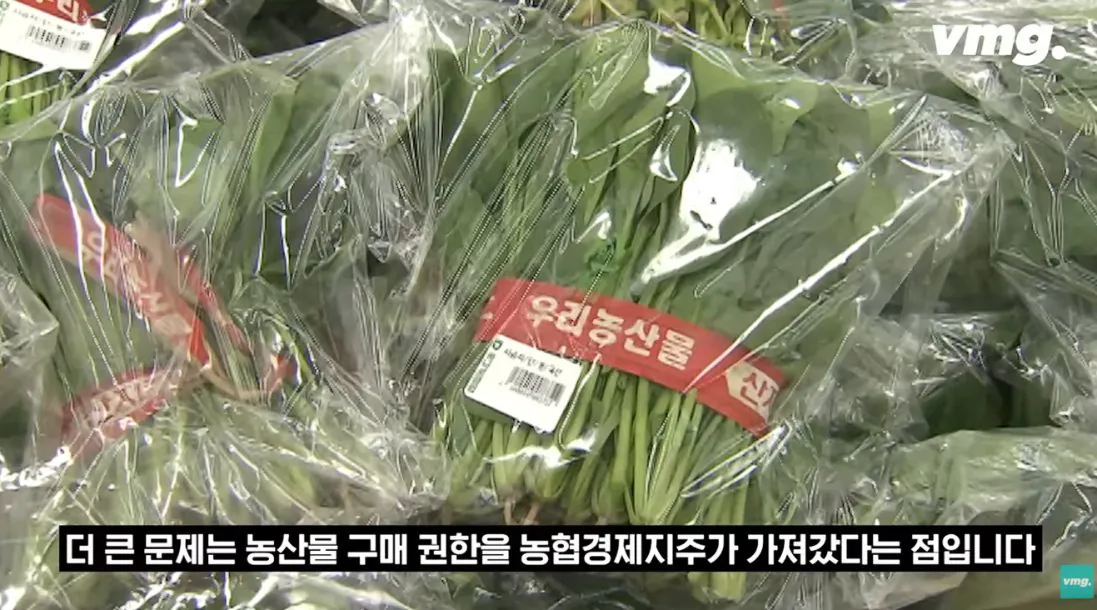 스압주의) 적자매장 비율 57% 심각한 하나로마트 상황 | 인스티즈