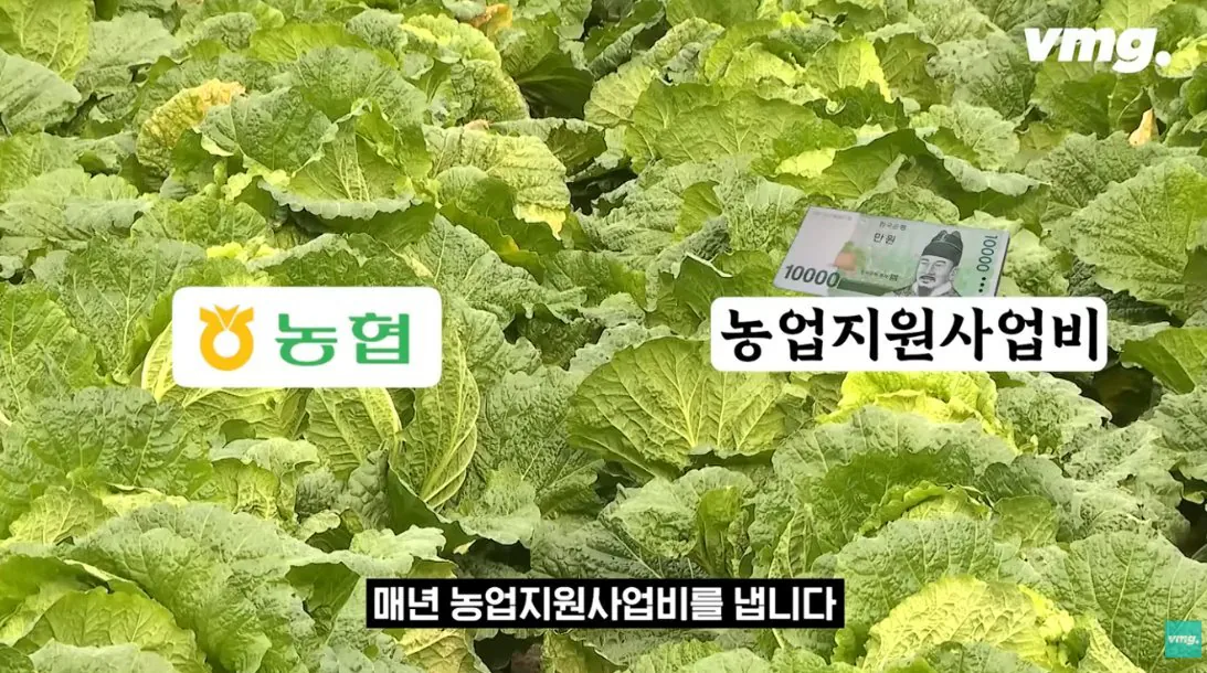 스압주의) 적자매장 비율 57% 심각한 하나로마트 상황 | 인스티즈