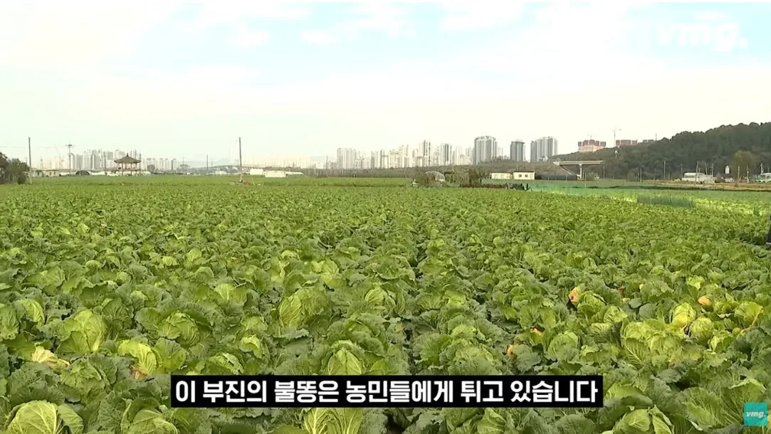 스압주의) 적자매장 비율 57% 심각한 하나로마트 상황 | 인스티즈