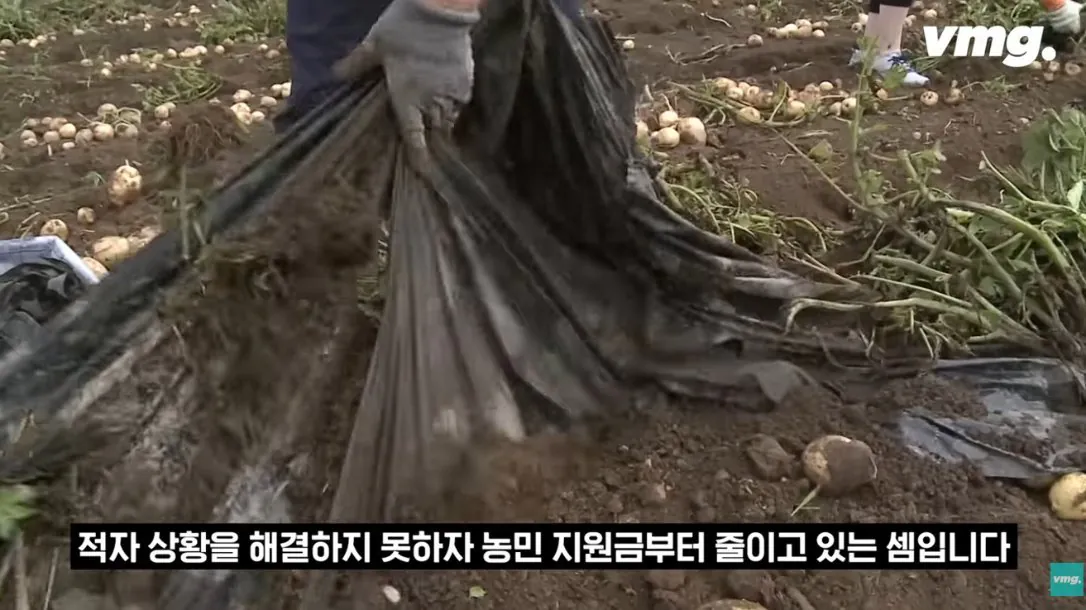 스압주의) 적자매장 비율 57% 심각한 하나로마트 상황 | 인스티즈