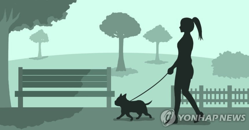 [소셜＋] "기온보다 10도 더 뜨거운 지면"…반려견 화상·열사병 주의보 | 인스티즈
