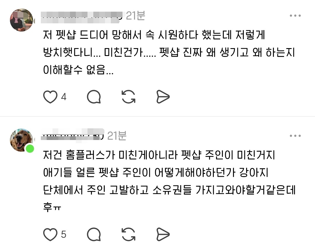 폐업 후 방치되고 있는 것 같다는 펫샵 | 인스티즈