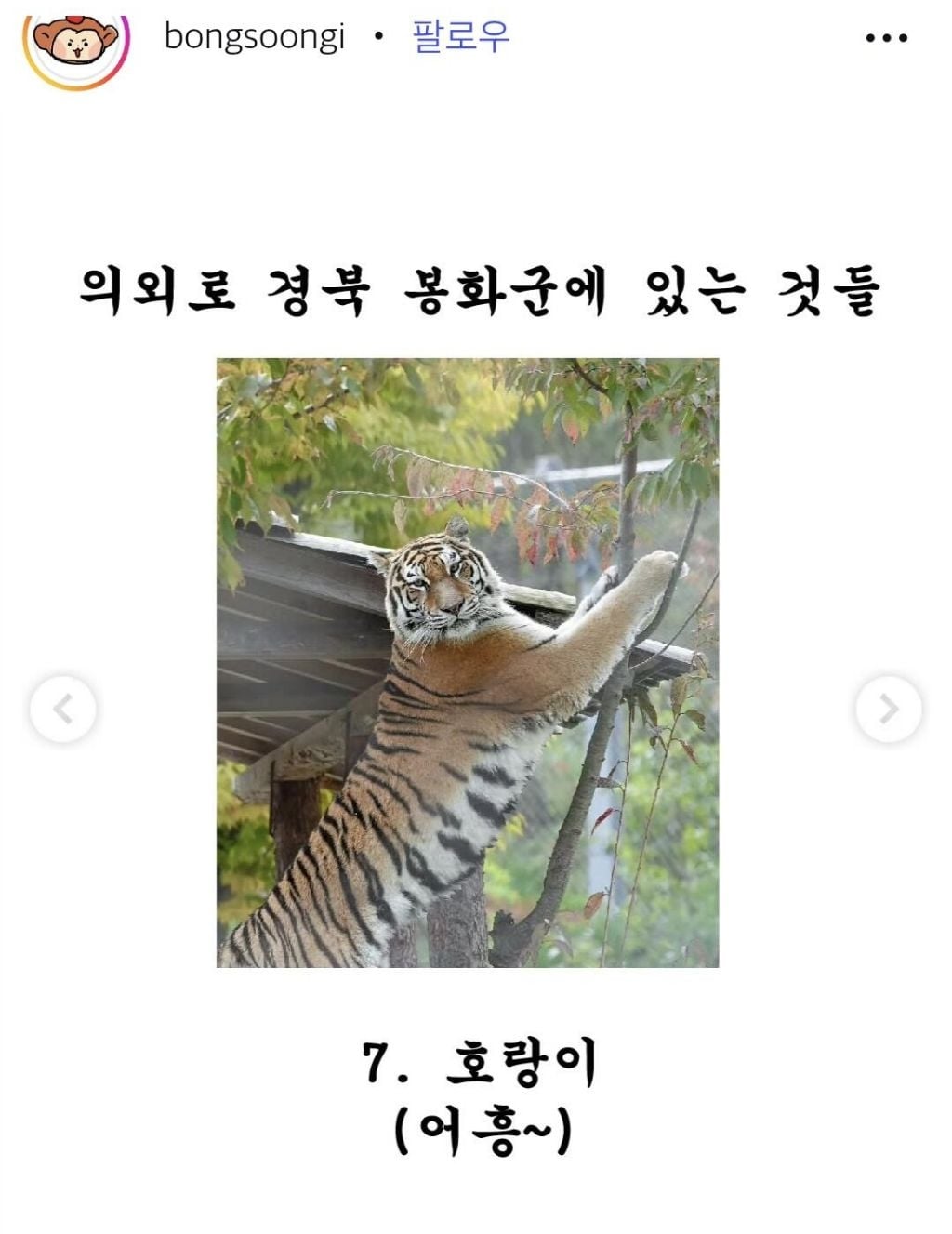 경주시에 긁혀버린 봉화군의 폭주ㅋㅋㅋ | 인스티즈