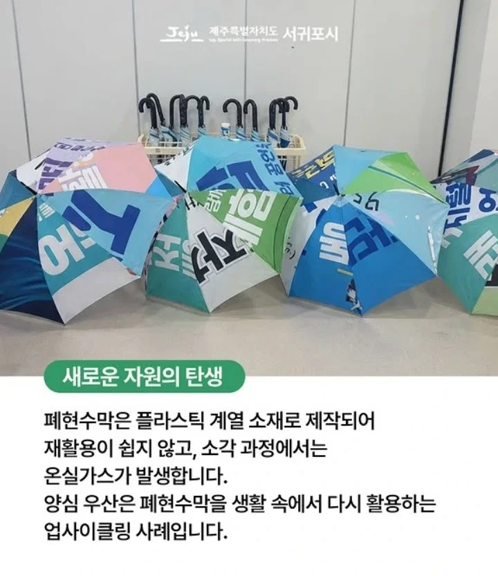 서귀포시 폐현수막 양심우산 | 인스티즈