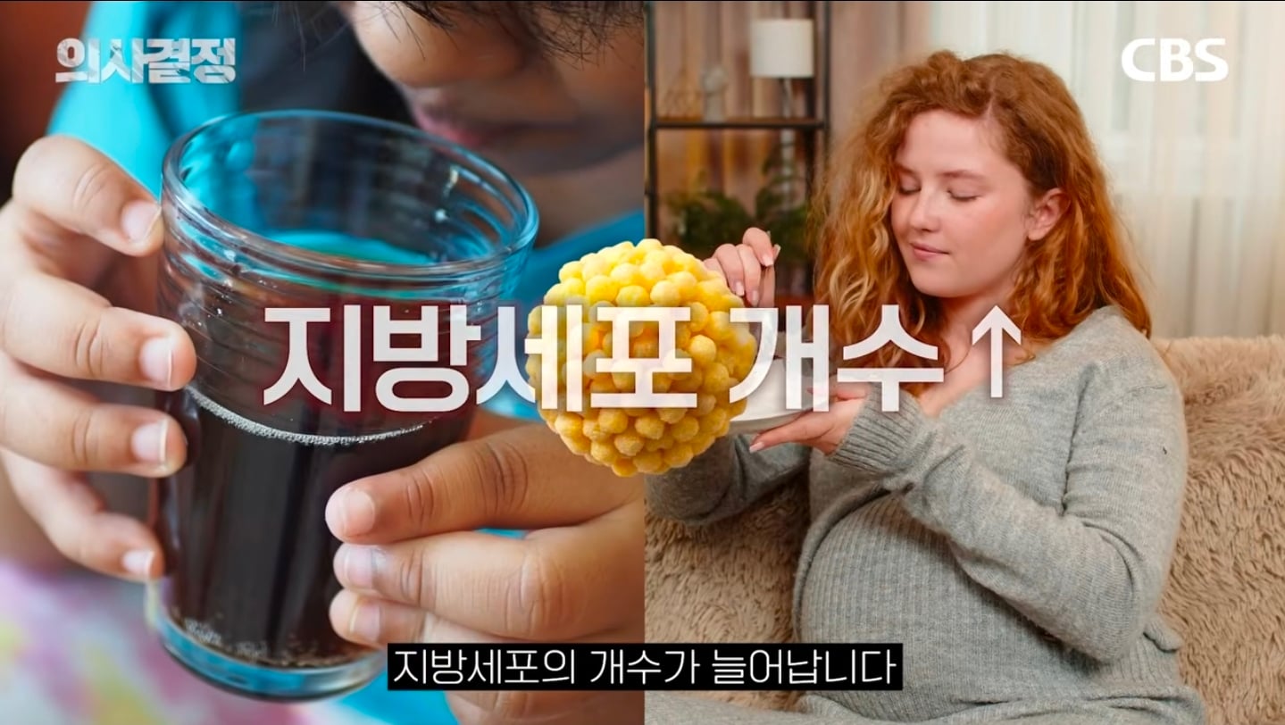 "다이어트 유지 10년이면 체질 변하는 거 아닌가요?" 의사가 분석한 김신영 요요의 반전 실체 | 인스티즈