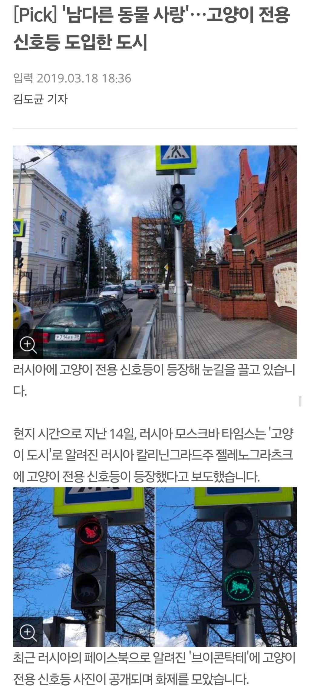 '남다른 동물 사랑'…고양이 전용 신호등 도입한 도시 | 인스티즈