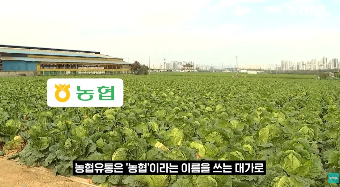 스압주의) 적자매장 비율 57% 심각한 하나로마트 상황 | 인스티즈
