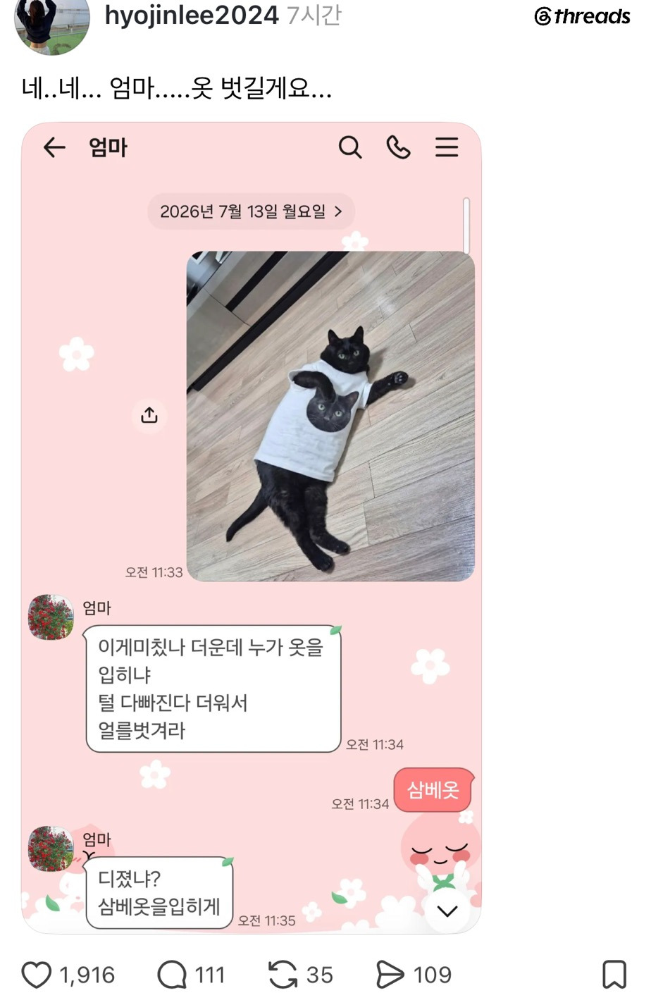 고양이 옷 입혔다가 엄마한테 혼남 | 인스티즈