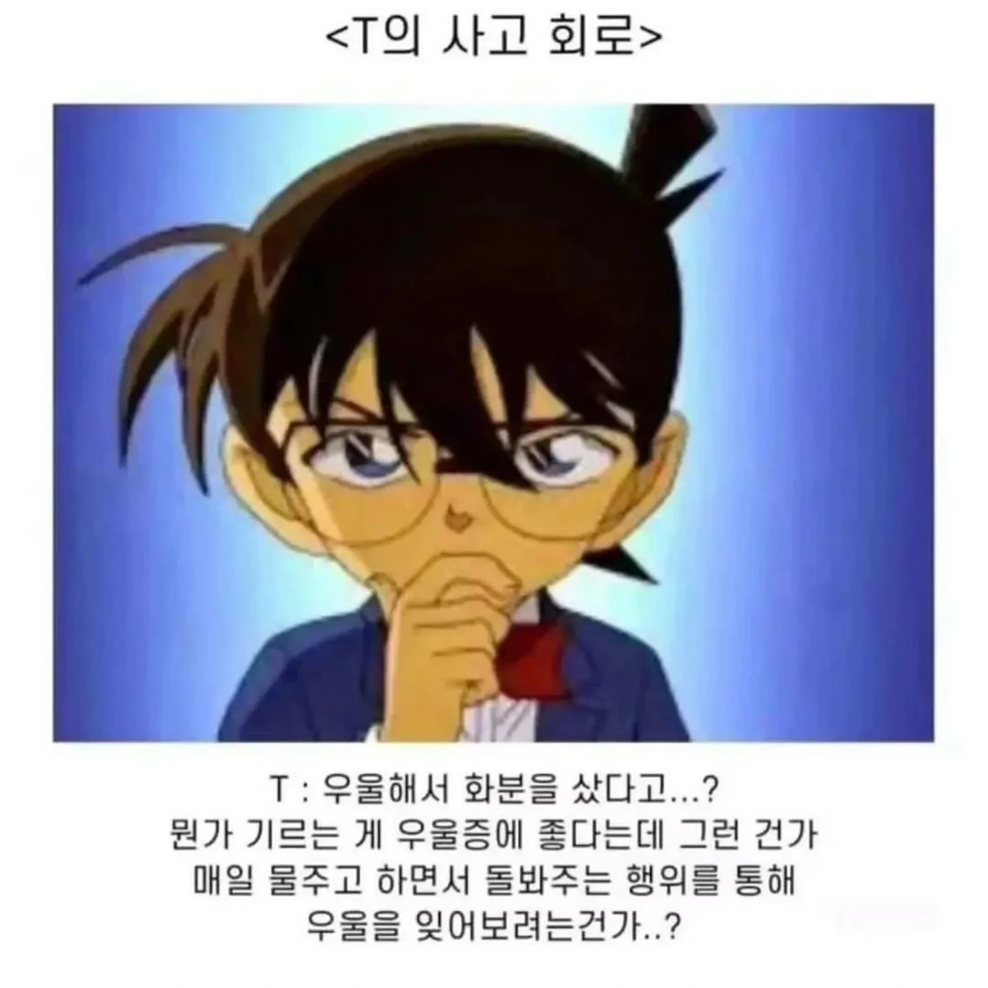 친구가 "나 우울해서 화분샀어"에 대한 T의 사고 회로 과정.jpg | 인스티즈