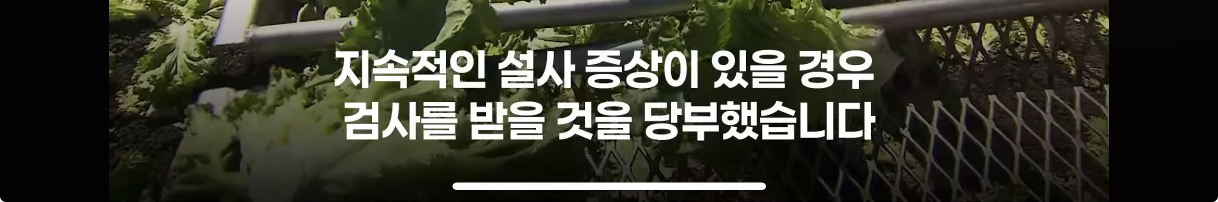 세척해도 안 죽는다, 미국 덮친 기생충 감염 급증 | 인스티즈