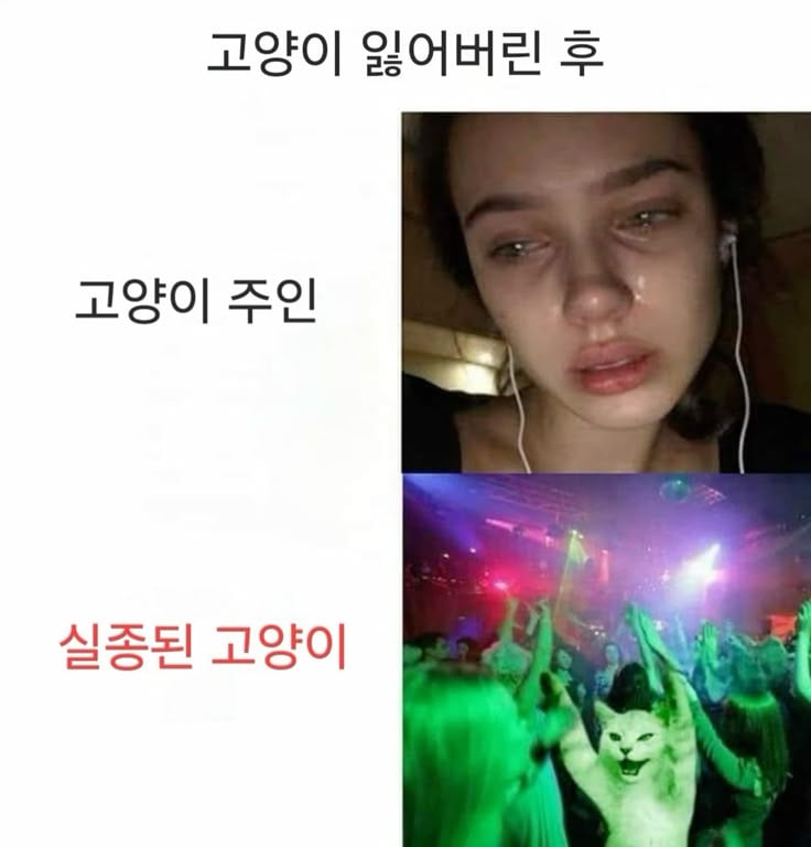 난 인성터진개그가 좋아 | 인스티즈