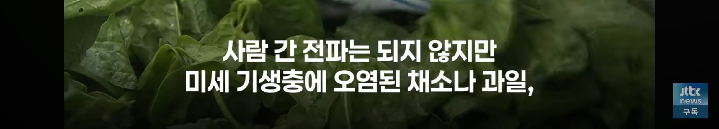 세척해도 안 죽는다, 미국 덮친 기생충 감염 급증 | 인스티즈