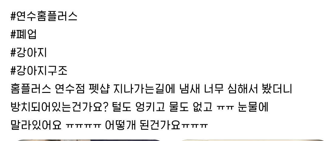 폐업 후 방치되고 있는 것 같다는 펫샵 | 인스티즈
