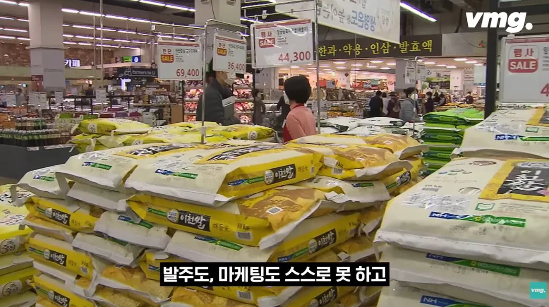스압주의) 적자매장 비율 57% 심각한 하나로마트 상황 | 인스티즈