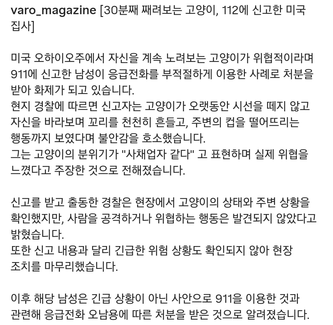 30분째 째려보는 고양이 112에 신고한 미국 집사 | 인스티즈