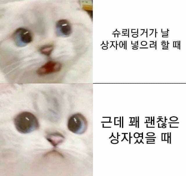 난 인성터진개그가 좋아 | 인스티즈