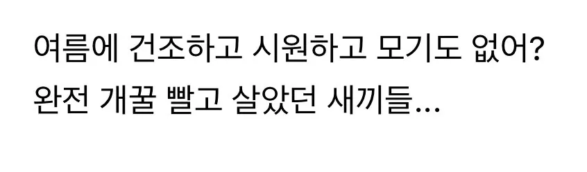 유럽 건물에 방충망이 없는 이유 .jpg | 인스티즈