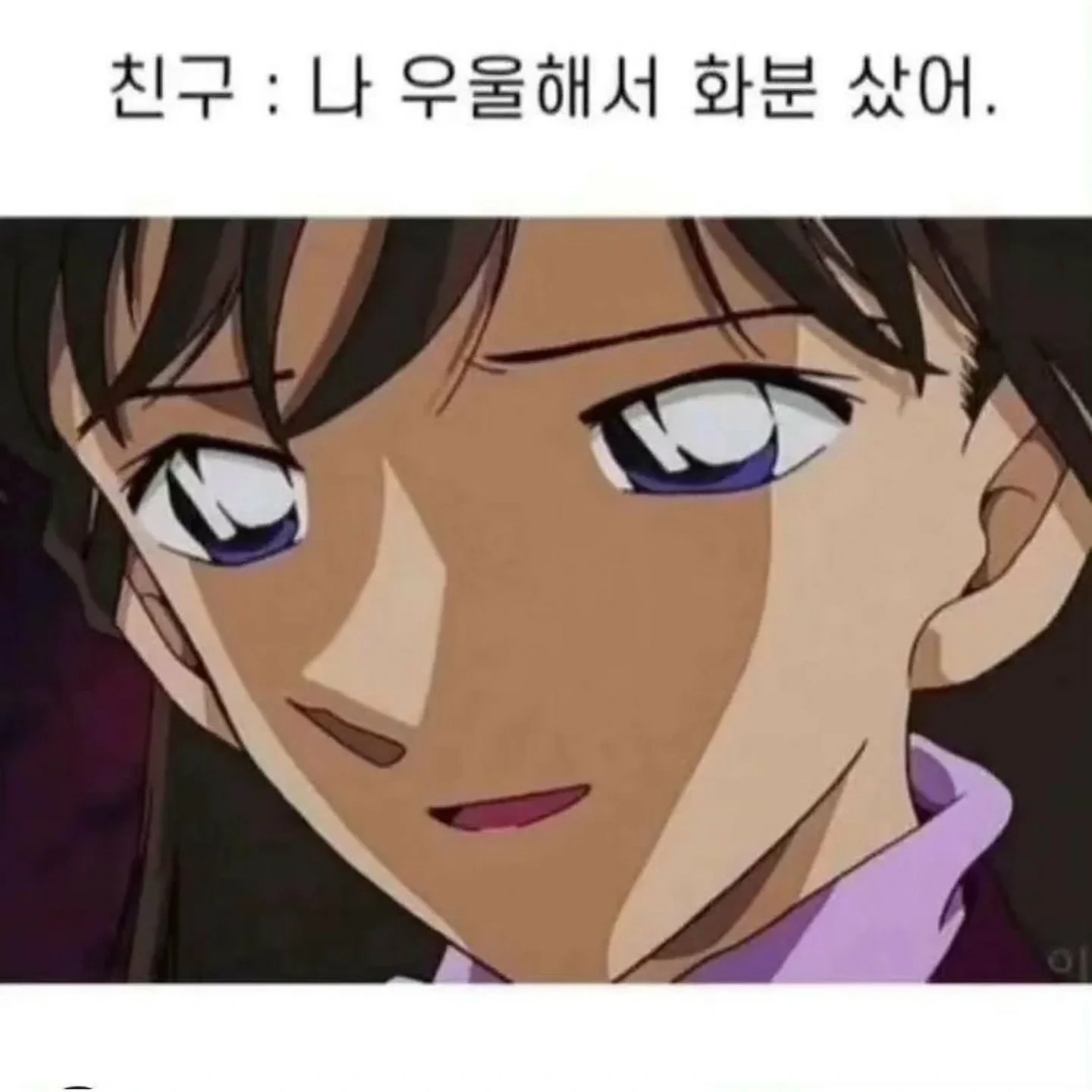 친구가 "나 우울해서 화분샀어"에 대한 T의 사고 회로 과정.jpg | 인스티즈