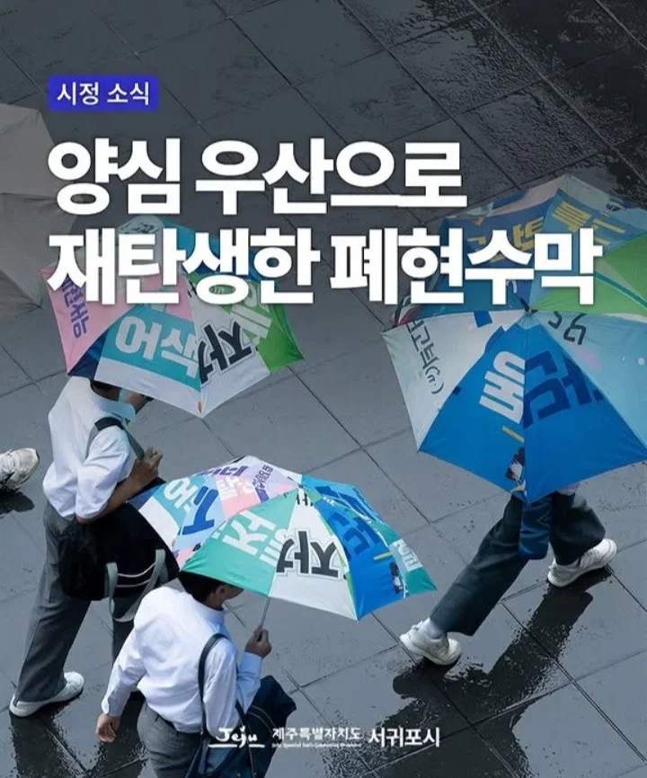 제주 서귀포시 폐현수막 양심 우산 | 인스티즈