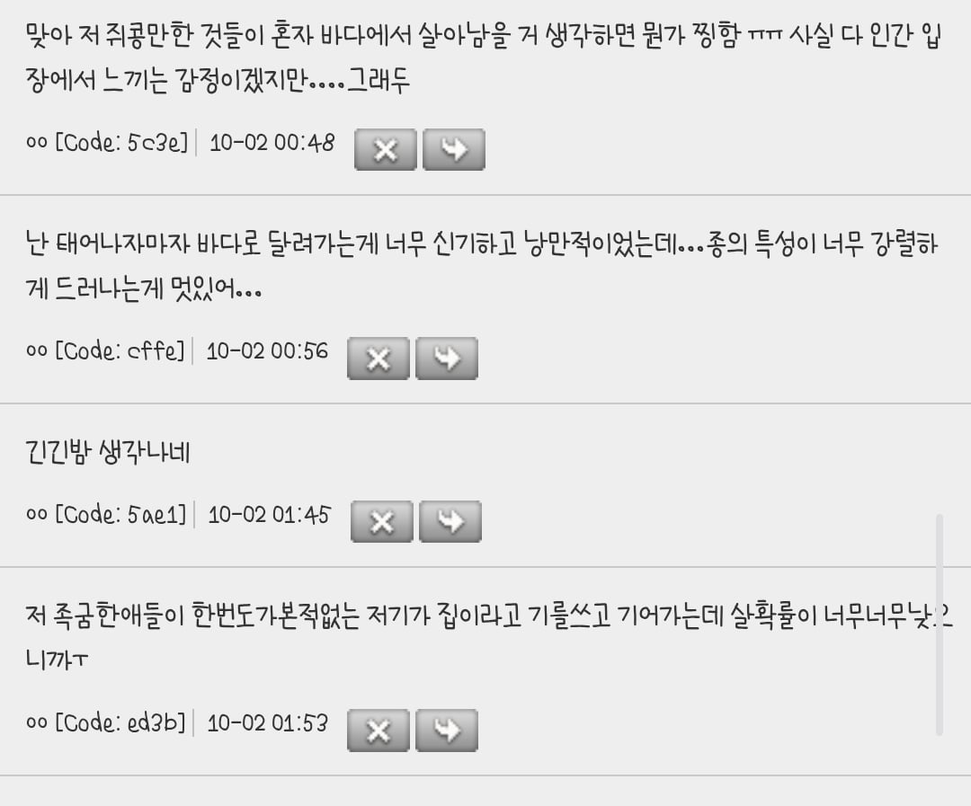 난 아기거북들이 바다로 나가는 짤 볼때마다 왤케 슬프지 | 인스티즈