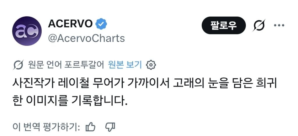고래눈 근접촬영(약홍콩?) | 인스티즈