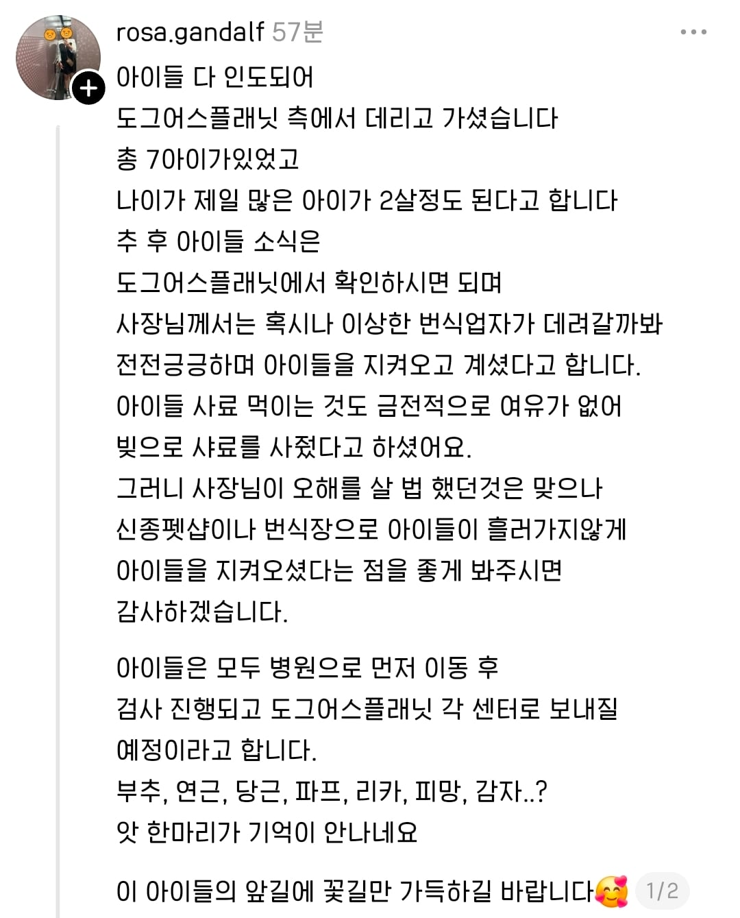 핫플 간 방치 펫샵 강쥐들 구조완료했다 함 | 인스티즈