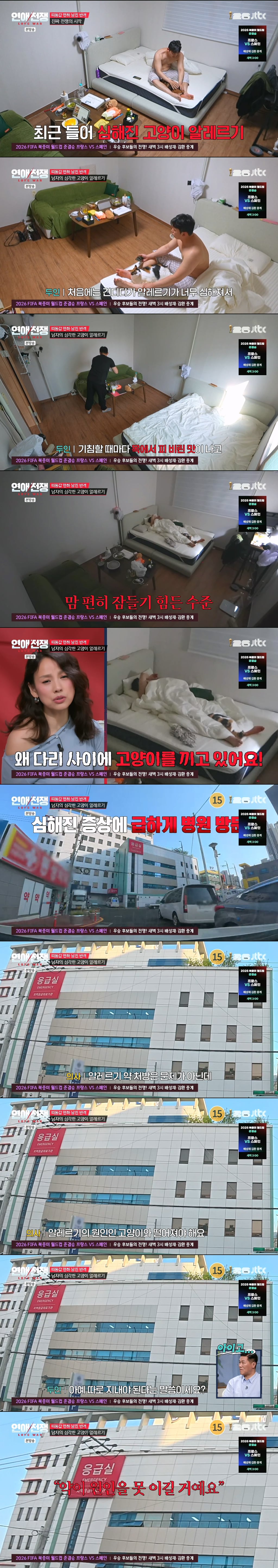 남자의 고양이 알레르기 때문에 결별 위기라는 2년 동거 커플 | 인스티즈