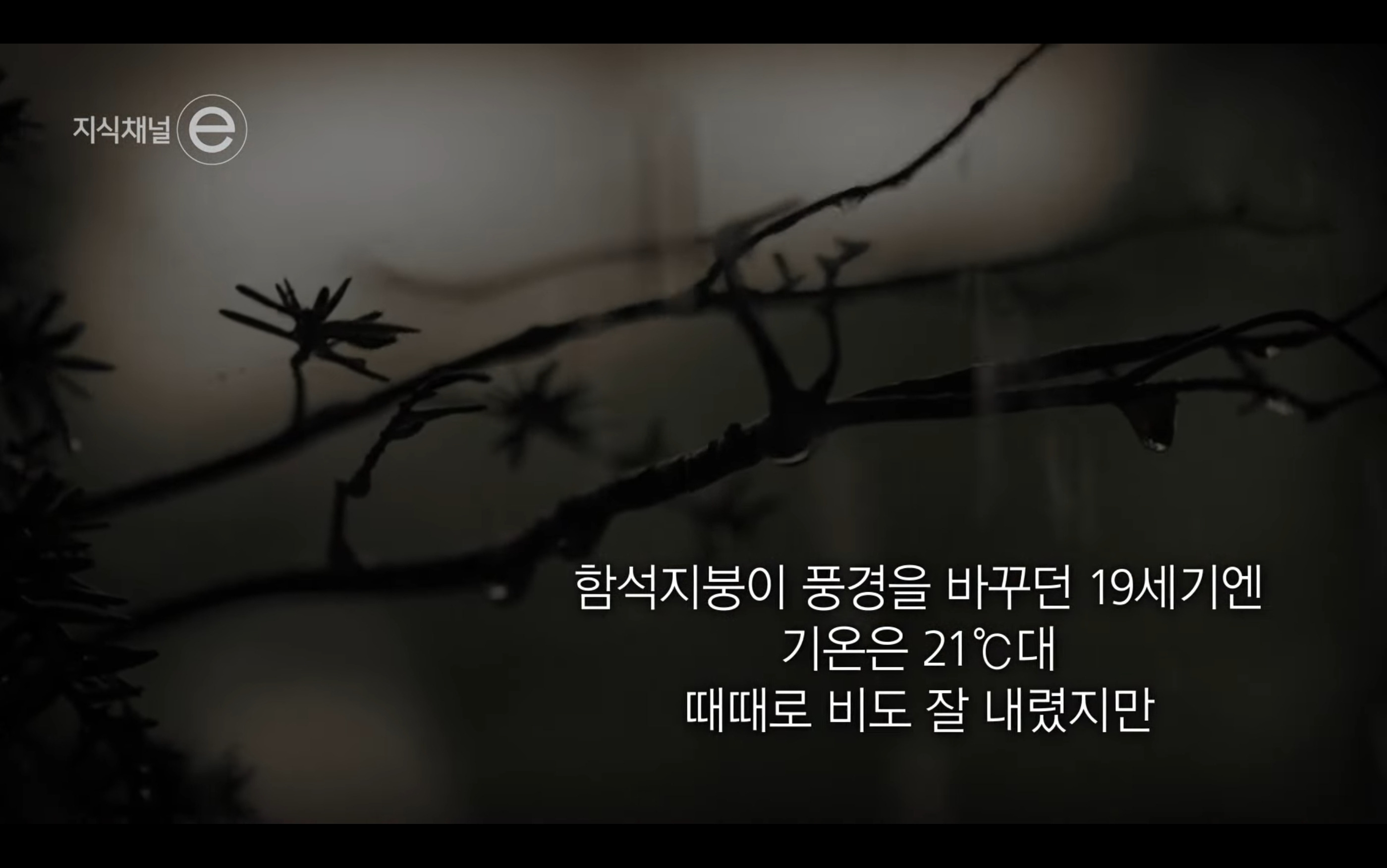유럽 거리미관 좋은게 꼭 장점만은 아님 | 인스티즈