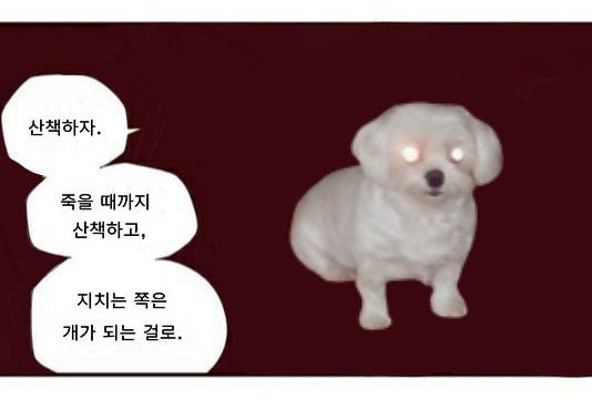 댁아리 비우고싶을떼 보는글 | 인스티즈